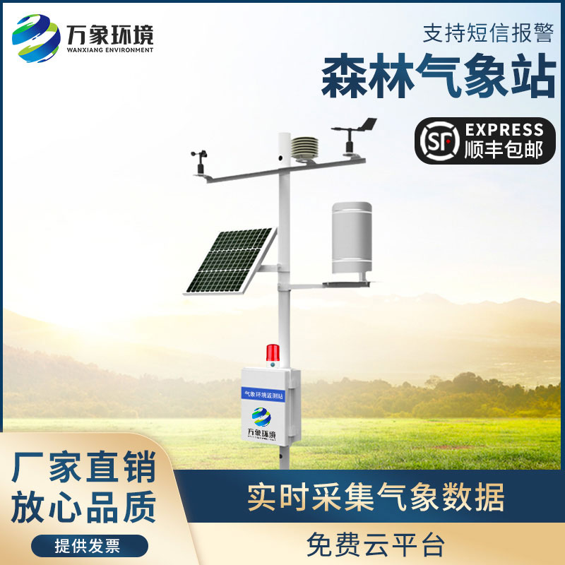 火险预警气象站在冬季的森林中发挥什么作用？
