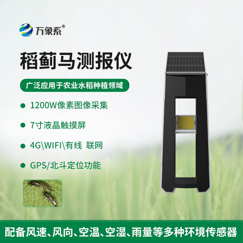 稻蓟马测报仪
