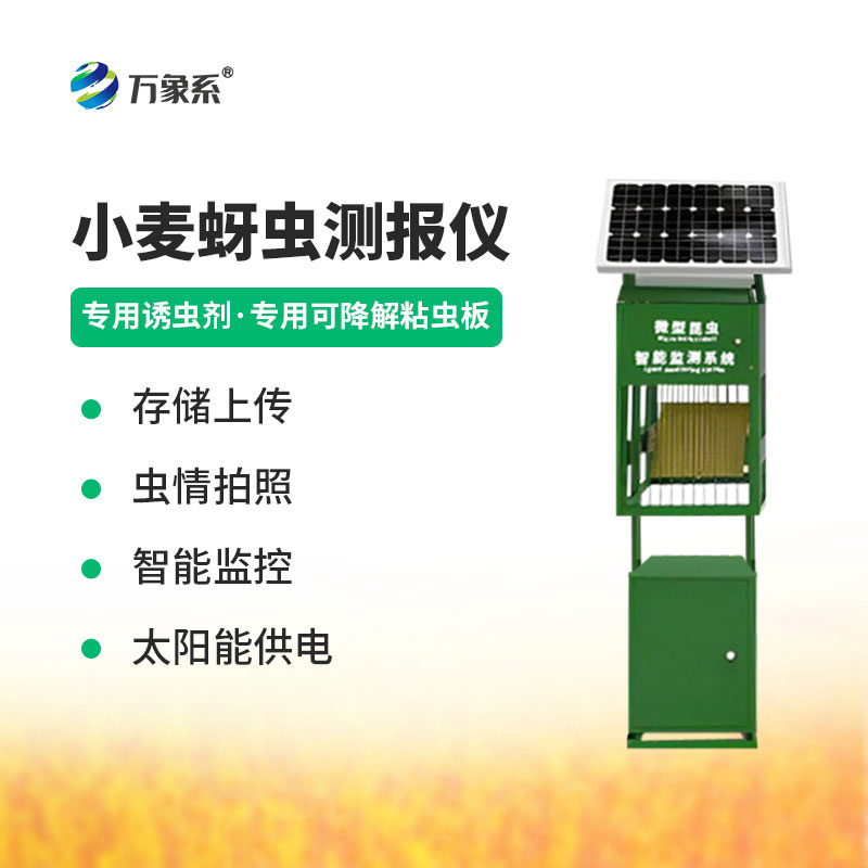 小麦蚜虫监测仪