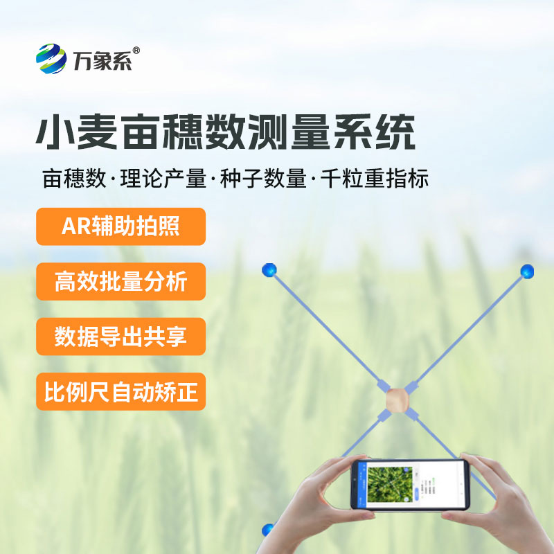 小麦亩穗数测量系统