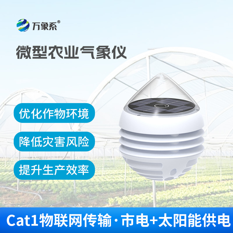 大棚小型气象仪