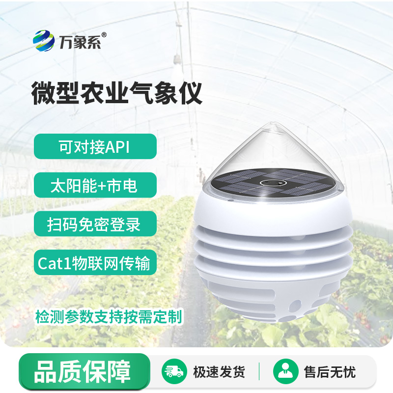 大棚农业气象仪